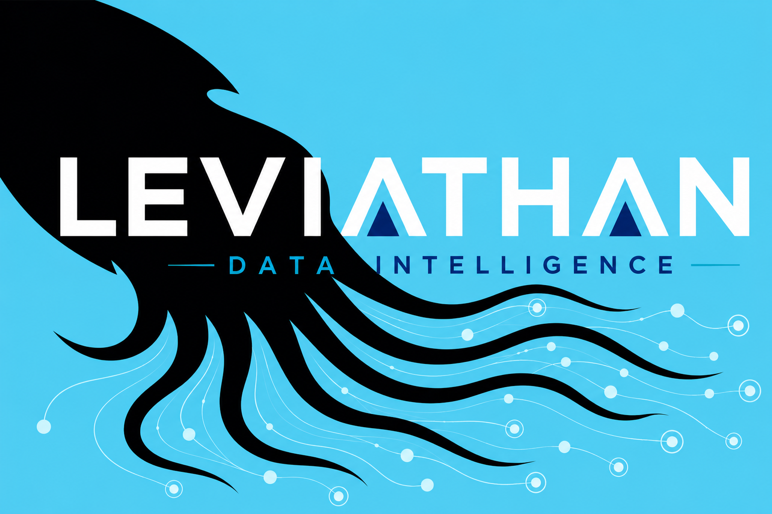 Leviathan Data Intelligence logo